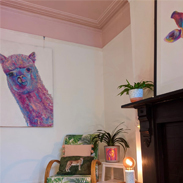 Pink Ceiling Tropical Print Chair Joseph King Interiors Bristol Feature Image