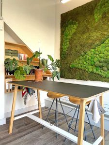 Living Wall In Design Studio Joseph King Interiors Bristol